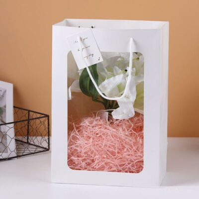 Carton Bag With PVC