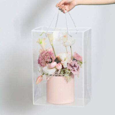 TRANSPARENT HAND BAG RECTANGLE - Image 2
