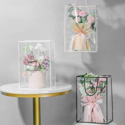 TRANSPARENT HAND BAG RECTANGLE