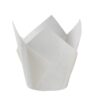 TULIP CUP PAPER