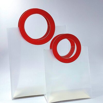 TRANSPARENT CIRCLE HAND BAG