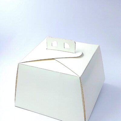 HEXAGON CAKE BOX