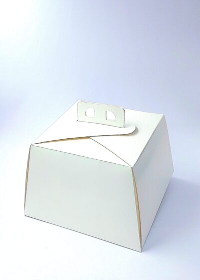HEXAGON CAKE BOX