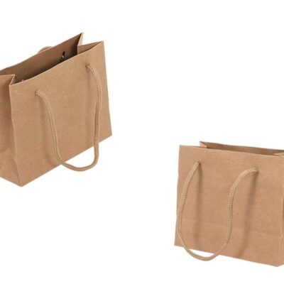 BRISTOL PAPER BAG