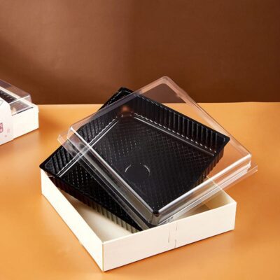 PLASTIC CARTON MEAL BOX