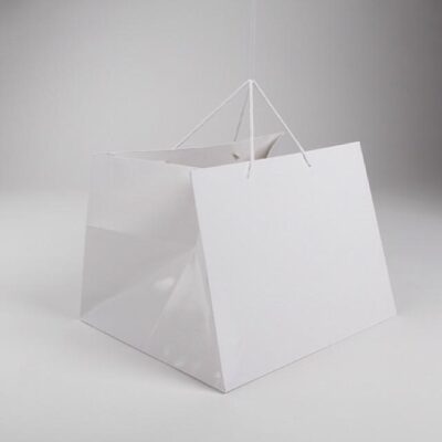 CARTON BAGS FOR TRAY-أكياس كرتون للصنية