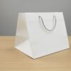 CARTON BAGS FOR TRAY-أكياس كرتون للصنية