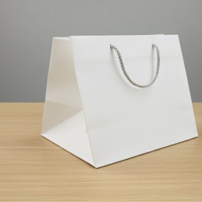 CARTON BAGS FOR TRAY-أكياس كرتون للصنية