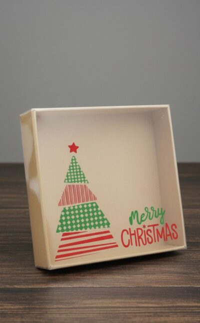 CHRISTMAS PVC BOX '22*22*5.5'