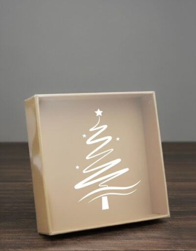 CHRISTMAS PVC BOX '8*8*3'
