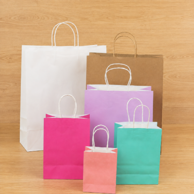 Kraft Paper Shopping Bags with Twisted Handles – Multiple Sizes & Colors
